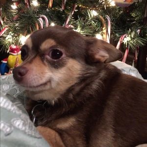 Meet your Posher, Alanna